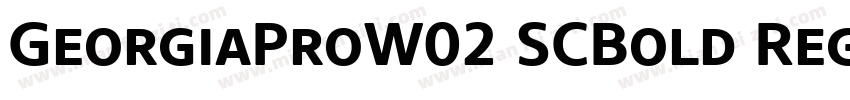 GeorgiaProW02 SCBold Regular字体转换